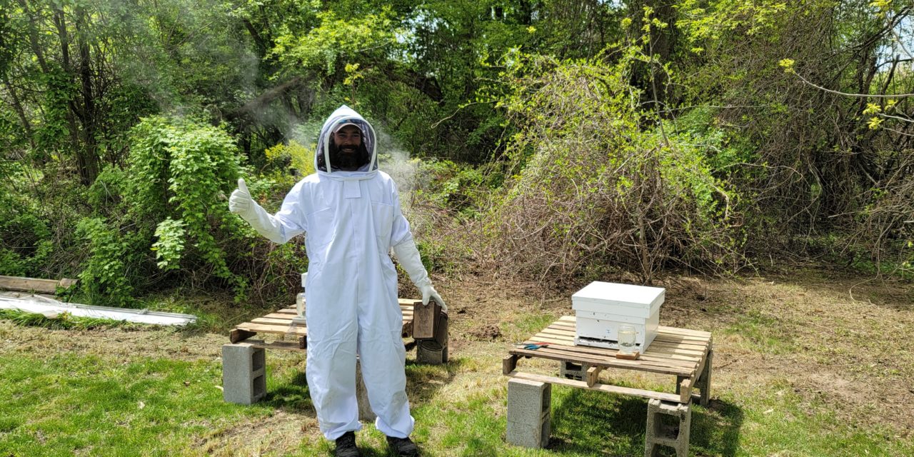 Bees on the Farm