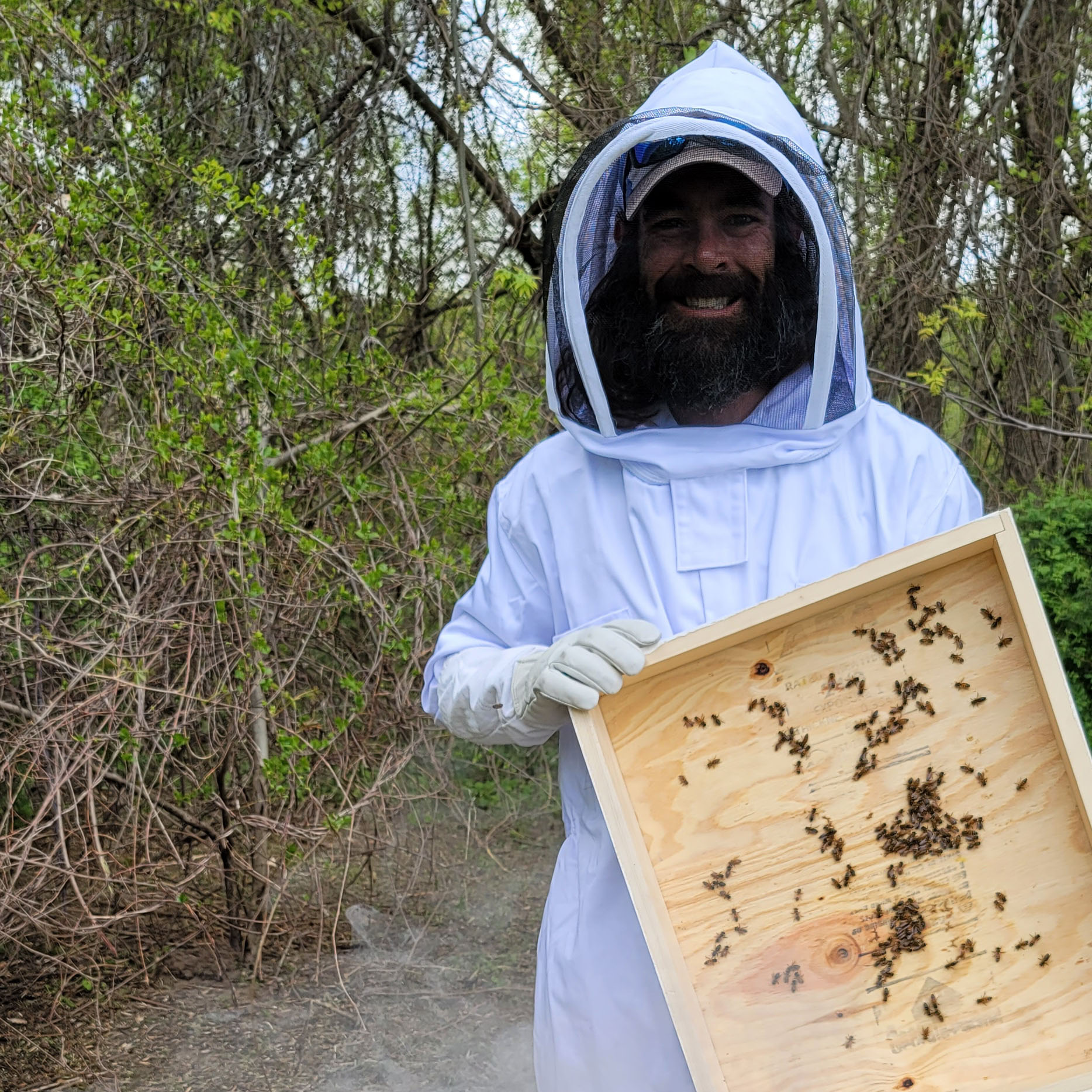 Jeremy Bassett with Bees