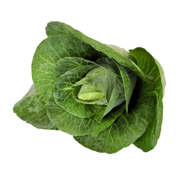 caraflex cabbage