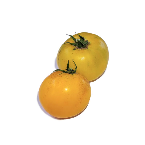 marmalade tomato